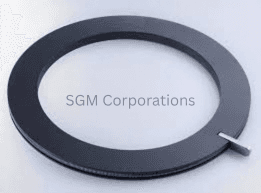 Carbon packing ring with segmented construction