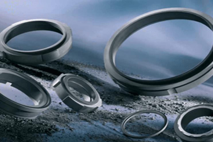 Carbon seal rings used in rotating equipment