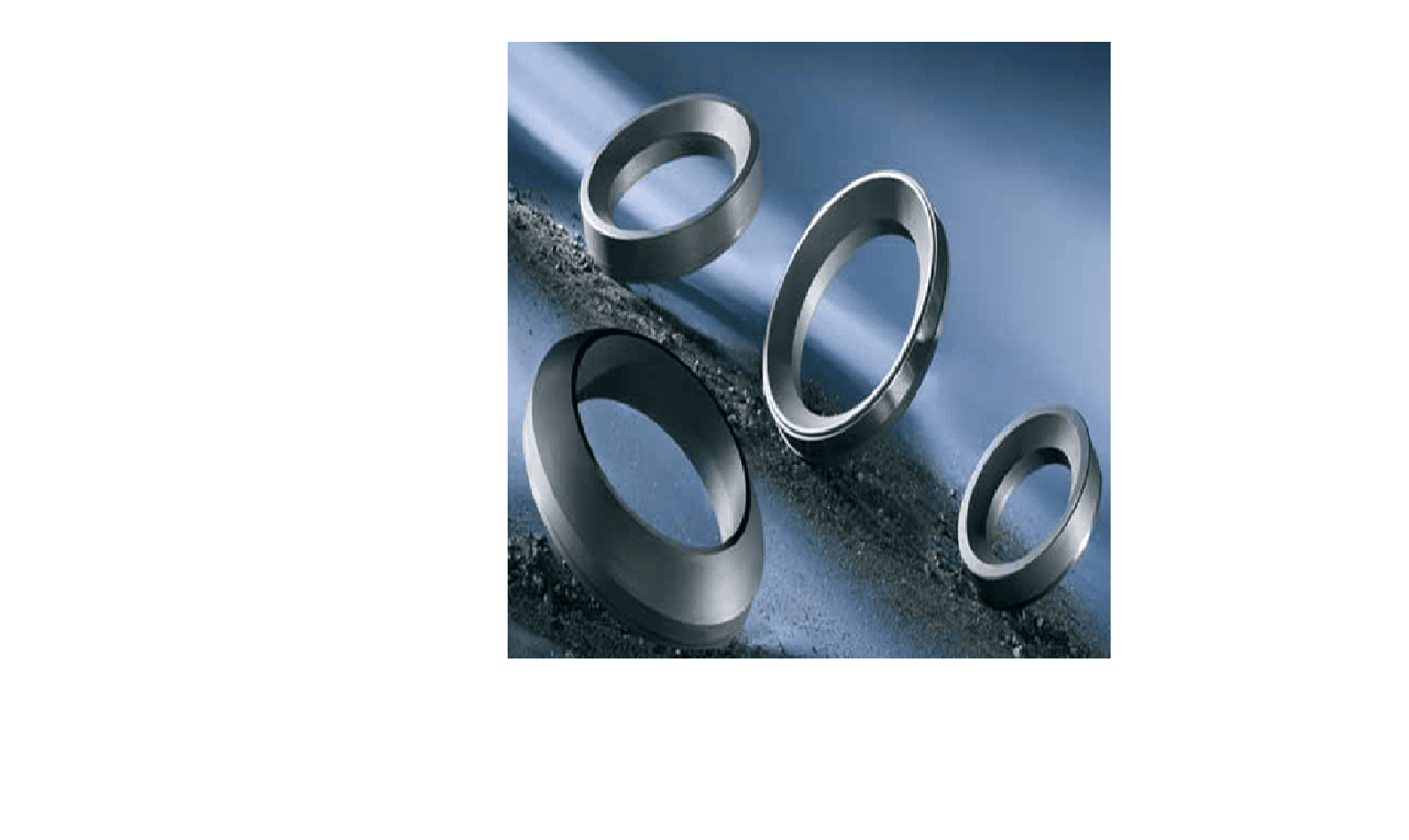 Carbon seal and bearing rings